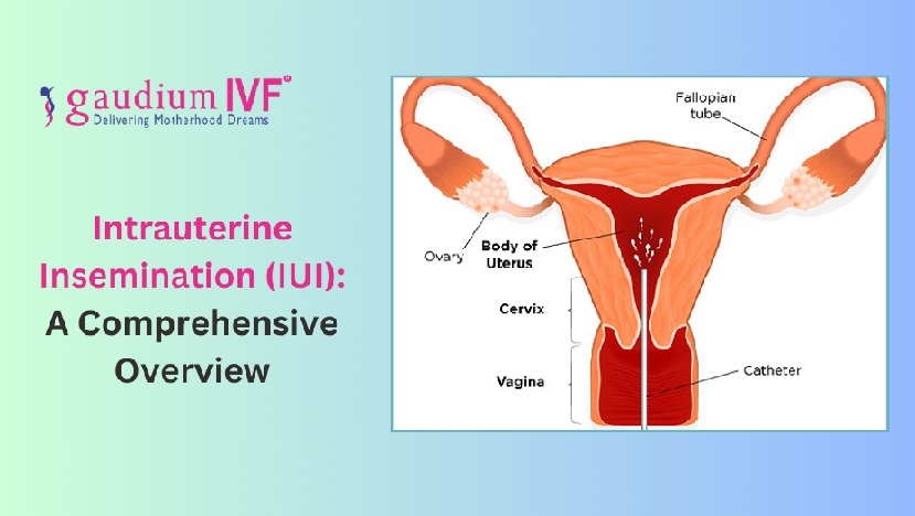Gaudium IVF Delivering Motherhood Dreams